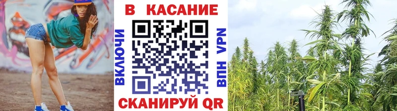 Купить закладку Гашиш  Alpha PVP  Меф мяу мяу  Закаменск