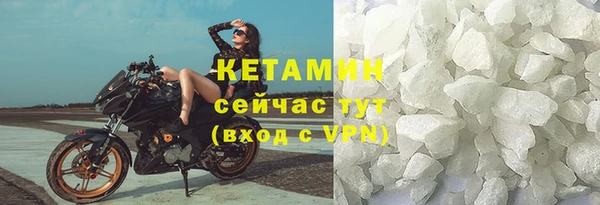 сатива Гусь-Хрустальный