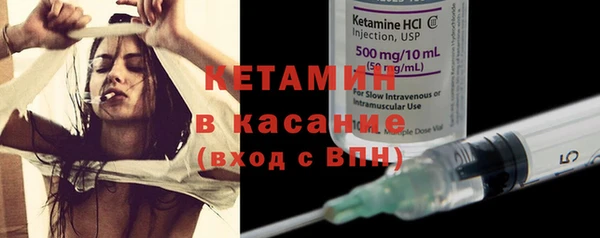 сатива Гусь-Хрустальный