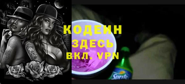 сатива Гусь-Хрустальный