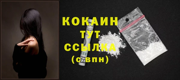 сатива Гусь-Хрустальный