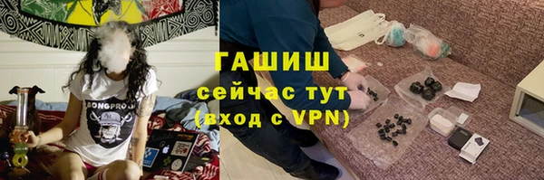 сатива Гусь-Хрустальный